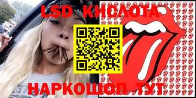 крисы Будённовск