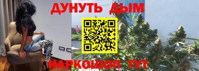 крисы Будённовск
