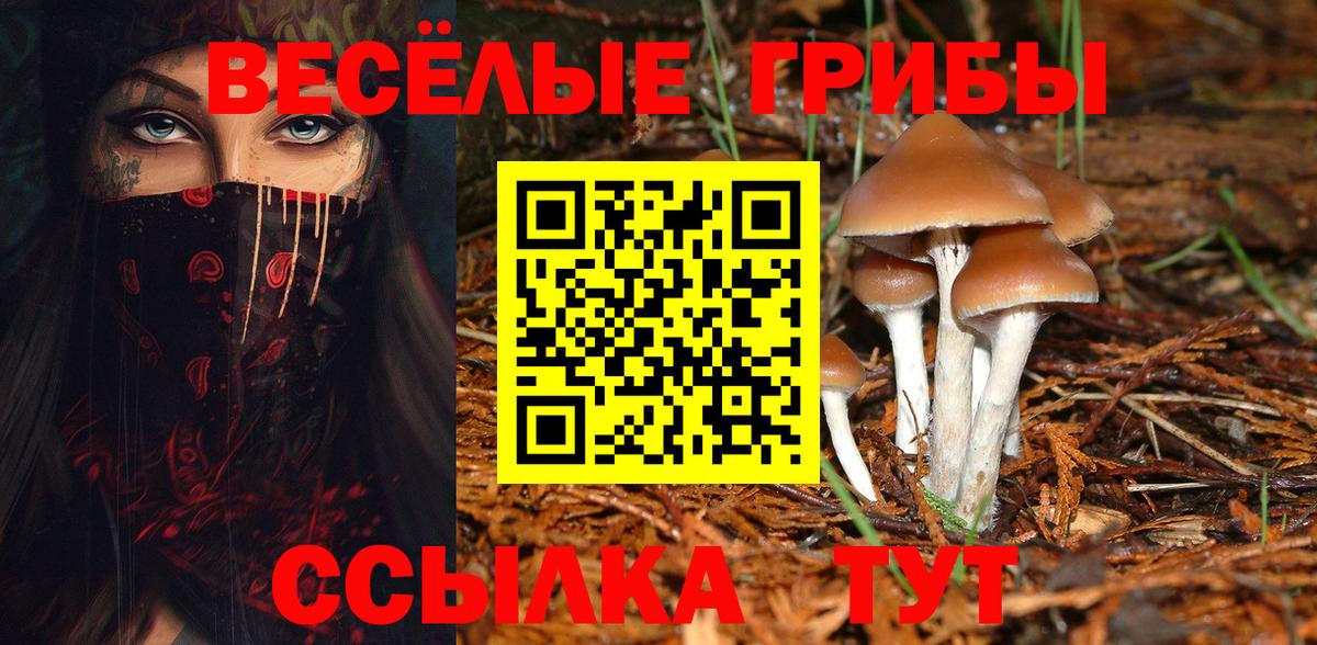Нижний Тагил  Галлюциногенные грибы Psilocybe  Вход с VPN 